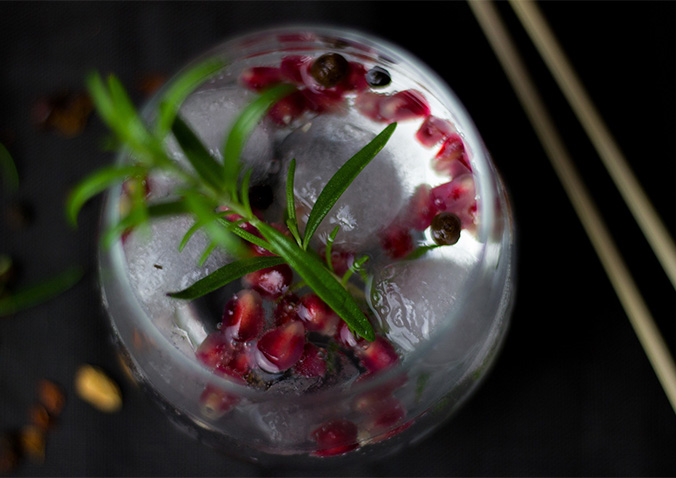 lawrenny-van-diemens-gin-degustation