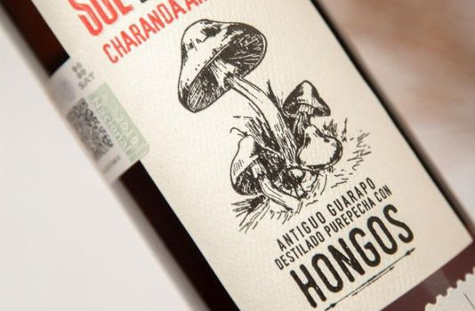 CASA TARASCO AND ITS ANCESTRAL KNOW-HOW